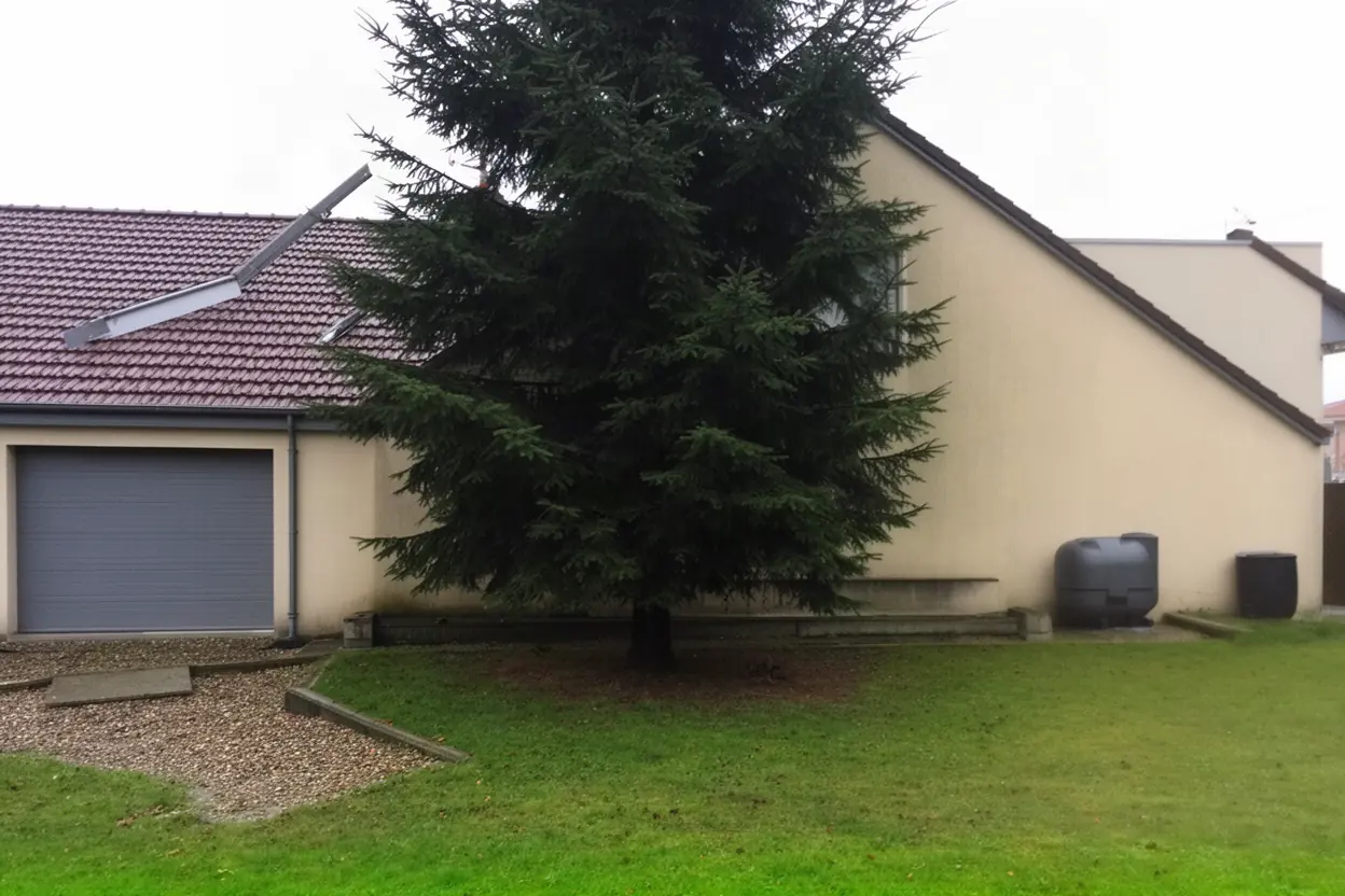 Conifère débordant sur un garage avant taille à Longueau