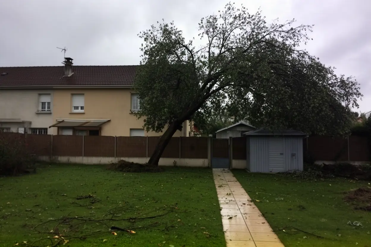 Arbre incliné menaçant une clôture à Camon