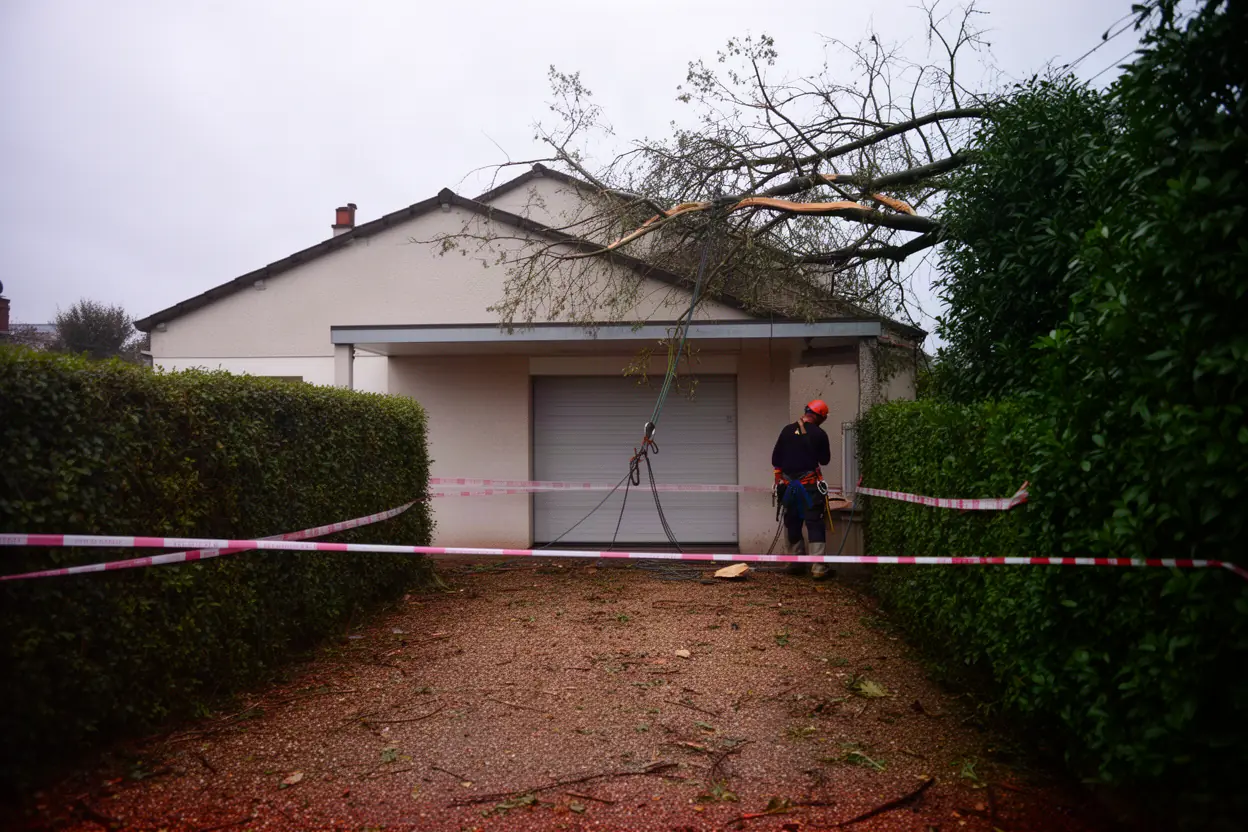 Arbre dangereux sécurisé après une tempête à Camon