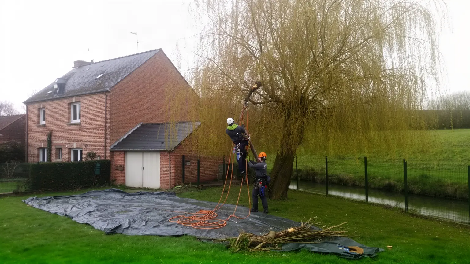 Élagueur professionnel à Camon et alentours